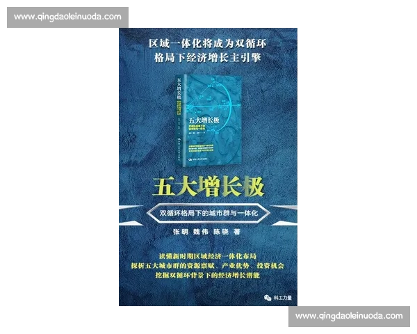波尔vs省之争揭示区域发展与制度博弈的深层逻辑与未来走向